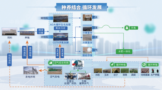 ESG年報解讀|中糧家佳康(01610)發佈2023年ESG報告 從源頭開始，保障國民肉食安全