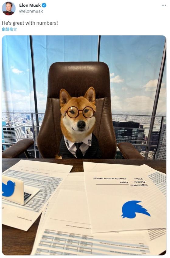 馬斯克突公佈“推特新CEO”！卸任具體時間曝光 狗狗幣暴拉5%、FLOKI飆升45%