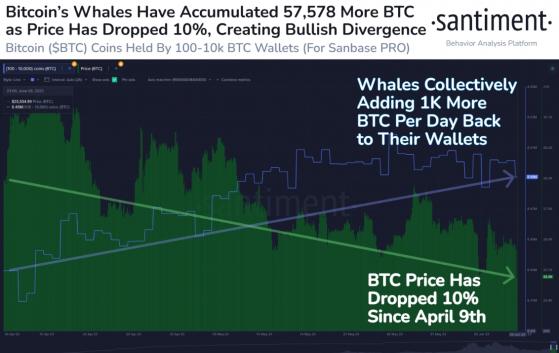 一張圖看「比特幣搶購潮」！巨鯨每天買入逾2600萬美元 鏈上指標「極度看漲」