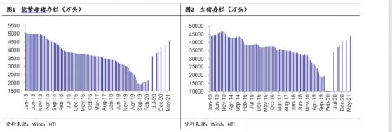 海通國際: 預計下半年生豬價格有所回升，建議關注養殖龍頭企業