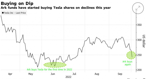 特斯拉(TSLA.US)股價創近四個月最大跌幅 “木頭姐”出手抄底13萬股