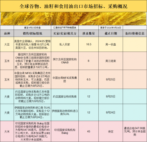 國際交易風向：全球穀物招標熱潮背後，基差波動如何影響價格？