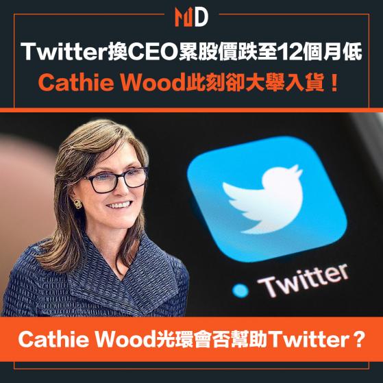 【人棄我取】Twitter換CEO累股價跌至12個月低，Cathie Wood此刻卻大舉入貨！