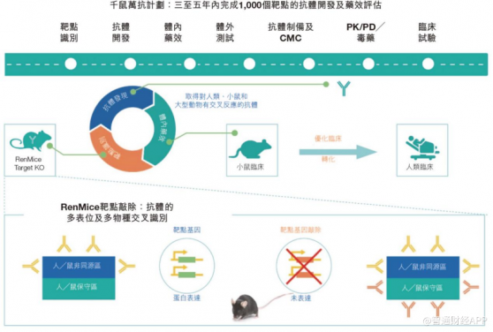 對標美國再生元拉升價值曲線 坐擁“千鼠萬抗”百奧賽圖中長期增長路徑清晰