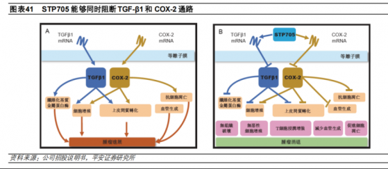 尚未商業化便想逐鹿減肥市場，聖諾醫藥-B(02257)離“造血”還有多遠？