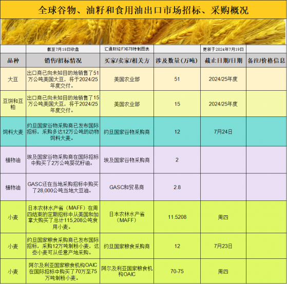 國際交易風向：7月19日大豆基差和招標動態深度解析！