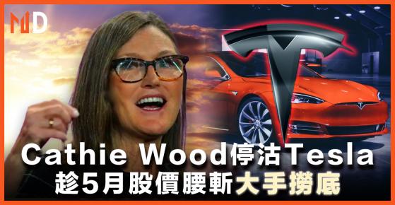 【Cathie Wood】Cathie Wood停沽Tesla，趁5月股價腰斬大手撈底