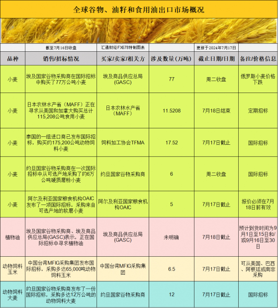 國際交易風向：基差波動引領，大豆、豆粕、玉米、小麥市場迎來關鍵轉折點！