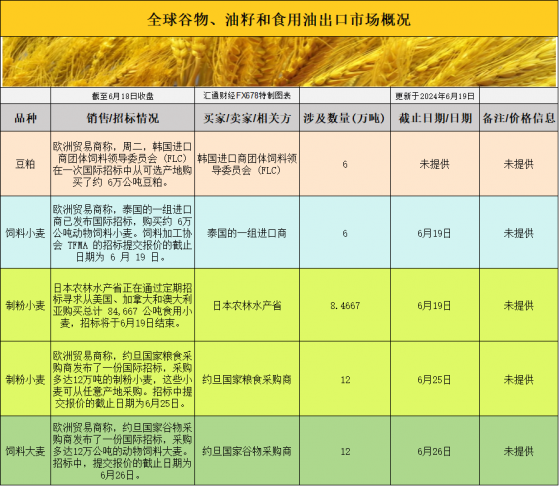 國際交易風向：大豆供應緊張與玉米基差穩定，分析師深度解析市場動態