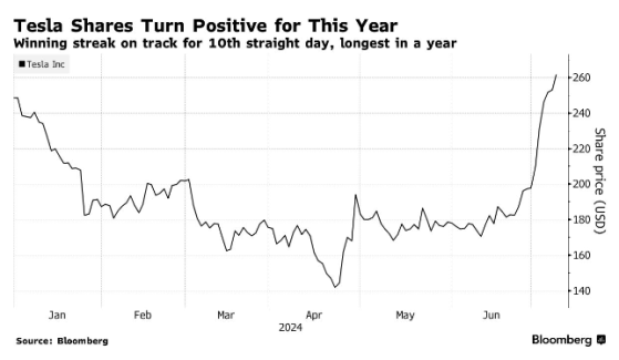 權重創歷史新高！特斯拉(TSLA.US)較低點反彈逾80%後成“木頭姐”旗艦基金最大重倉股