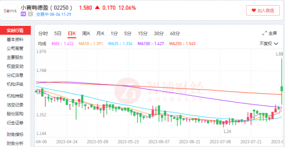 小黃鴨德盈(02250)與沙特主權財富基金合作 IP主題運營成發力點？