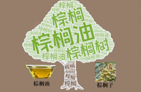 MPOB數據倒計時！棕櫚油技術面發出「黃牌警告」？