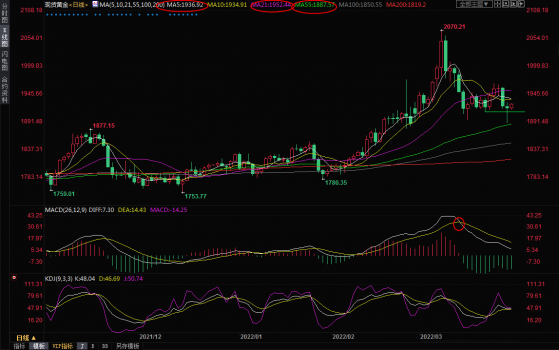 3月30日現貨黃金交易策略：多空消息摻雜，多空博弈或加劇